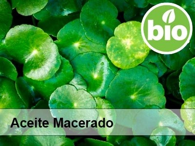 Aceite de Centella Asiática BIO