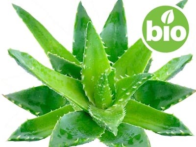 Aceite de Aloe Vera BIO