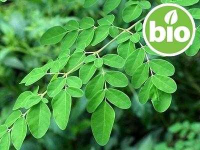 Aceite de Moringa Virgen de 1ª presión BIO