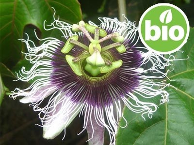 Aceite de Passiflora 1ª presión BIO