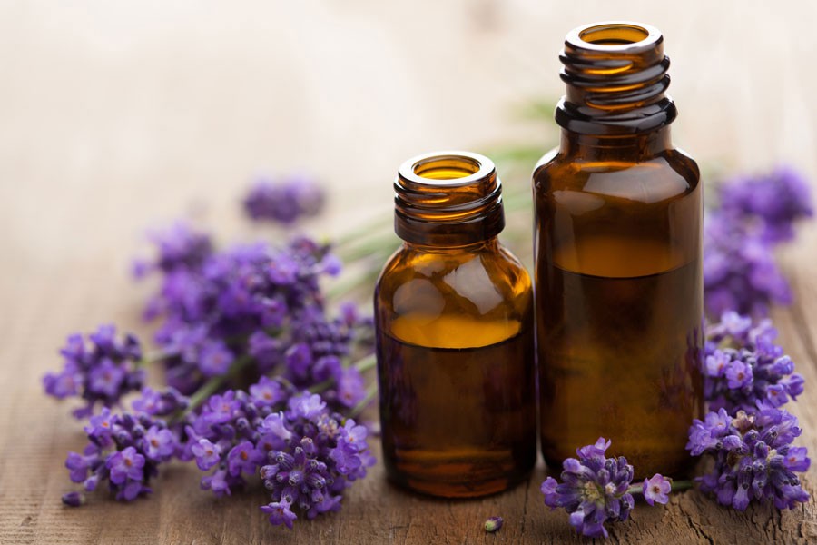 Cuáles son las propiedades del aceite esencial de lavanda