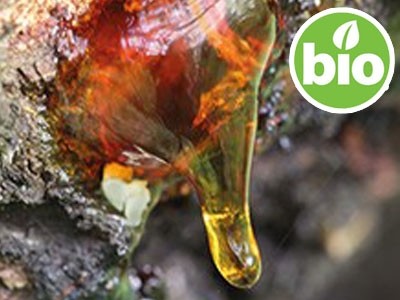 Aceite Esencial de Trementina BIO