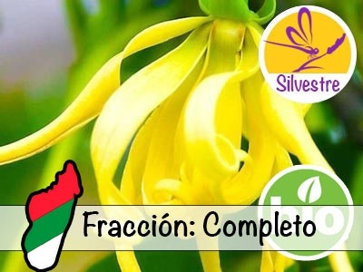 Aceite Esencial de Ylang Ylang Completo (Totum) Silvestre BIO