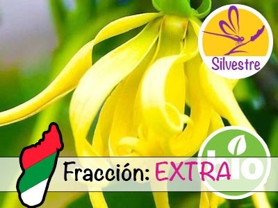 Aceite Esencial de Ylang Ylang Extra - Silvestre BIO