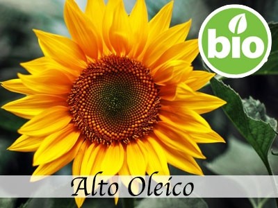 Aceite de Girasol Alto Oleico RBDW BIO