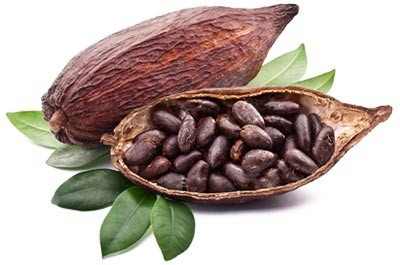 Aroma de Cacao Natural