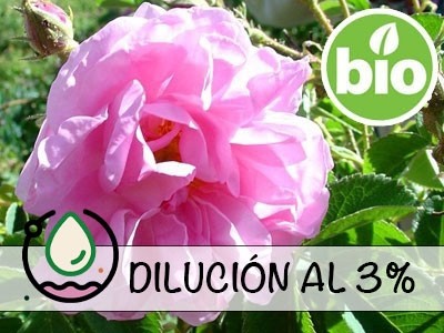 Dilución Rosa Damasco - Búlgara Otto BIO al 3%