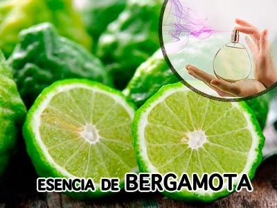 Esencia de Bergamota