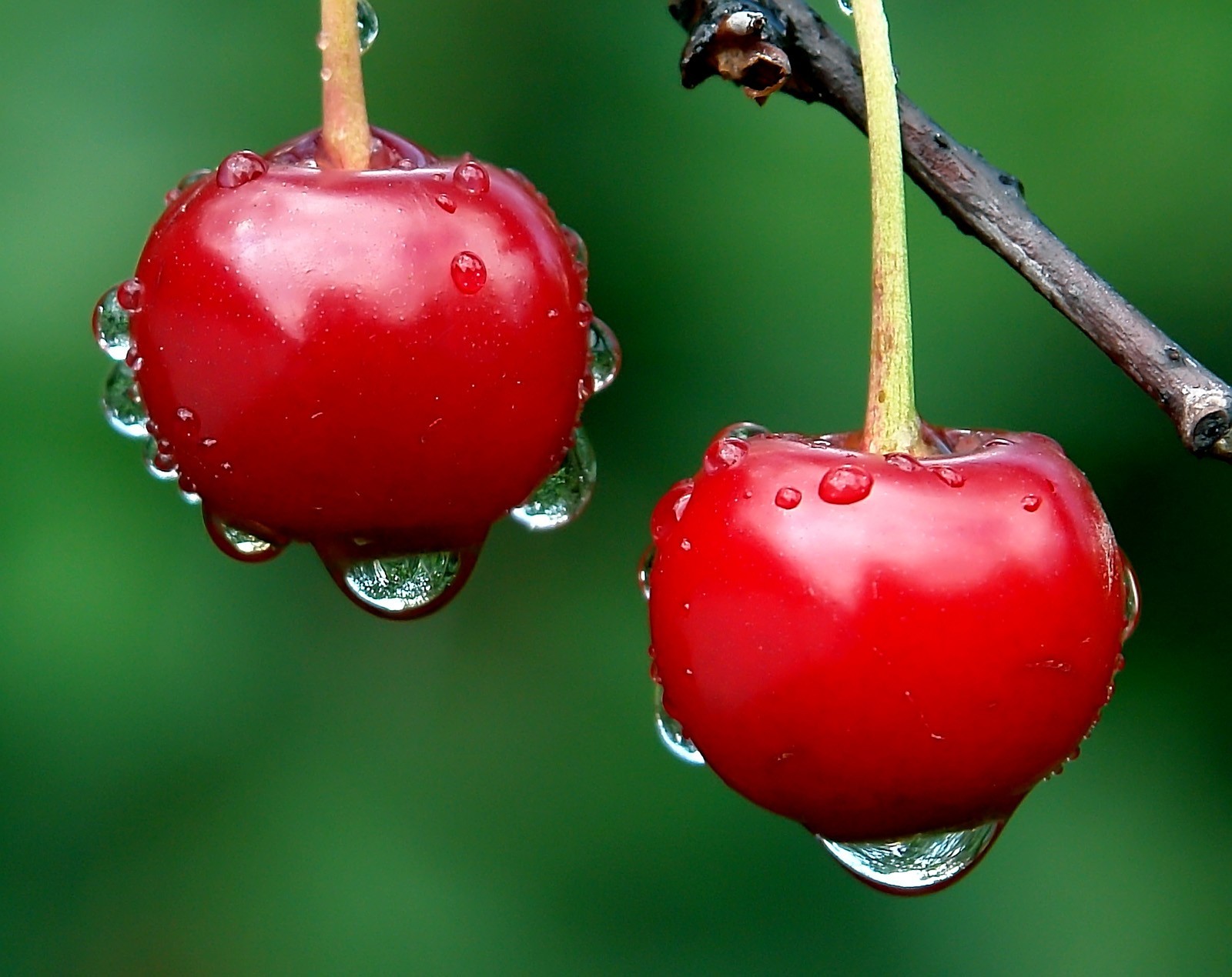 Fragancia de Cereza