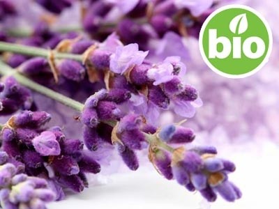 Hidrolato de Lavanda Fina BIO - Microfiltrado