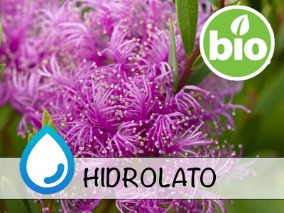 Hidrolato de Mirto miel BIO