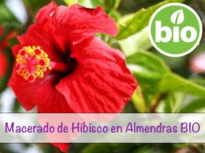 Macerado de flores de Hibisco en Almendras BIO