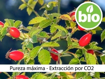 Aceite de Rosa Mosqueta BIO extracción CO2