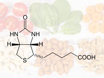 Biotina (Vitamina H)