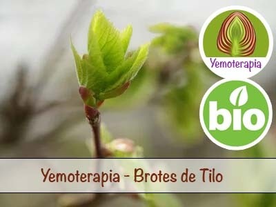 Tilo Brotes Jóvenes - Yemoterapia