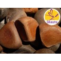 Aceite de Andiroba Silvestre y BIO