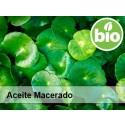 Aceite de Centella Asiática BIO