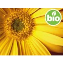 Aceite de Árnica BIO en Oliva BIO