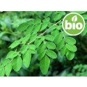 Aceite de Moringa Virgen de 1ª presión BIO