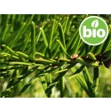 Aceite Esencial de Abeto Gigante BIO