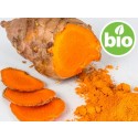 Aceite Esencial de Cúrcuma BIO