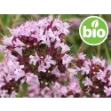 Aceite Esencial de Orégano Común BIO