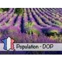 Aceite Esencial de Lavanda BIO de Provenza