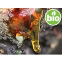 Aceite Esencial de Trementina BIO