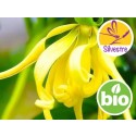 Aceite Esencial de Ylang Ylang Completo (Totum) Silvestre BIO