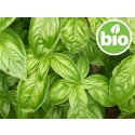 Aceite Esencial de Albahaca Exótica BIO