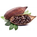 Aroma de Cacao Natural