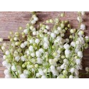 Fragancia de Lirio de los Valles