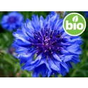 Hidrolato de Aciano BIO - Estabilizado.