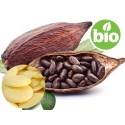 Manteca de cacao Desodorizado BIO en bloque.