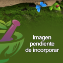 Nagarmotha en polvo
