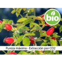 Aceite de Rosa Mosqueta BIO extracción CO2