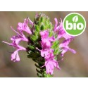 Aceite Esencial de Orégano Español BIO