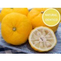 Aceite Esencial de Yuzu Natural Idéntico
