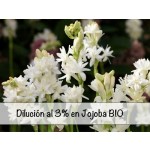 Dilución Absoluto de Nardo Tuberosa al 3%