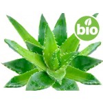 Aceite de Aloe Vera BIO