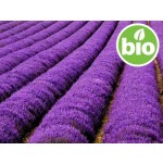 Macerado de Flores de Lavanda BIO