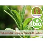 Romero Brotes Jóvenes - Yemoterapia