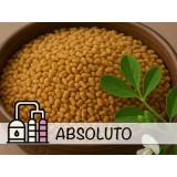 Absoluto de Fenogreco