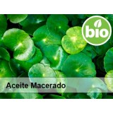 Aceite de Centella Asiática BIO