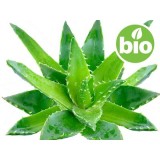 Aceite de Aloe Vera BIO