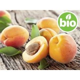 Aceite de Hueso de Albaricoque 1ª presión BIO