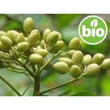 Aceite de Neem Virgen 1ª presión BIO