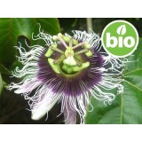 Aceite de Pasiflora / Maracuyá 1ª presión BIO