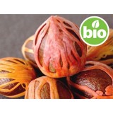 Aceite Esencial de Nuez Moscada BIO - Silvestre