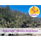 Aceite Esencial de Ciprés Blanco Australiano